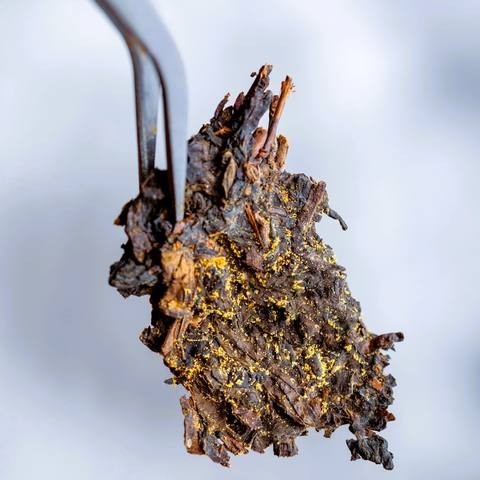 热销自有品牌高品质100% 天然有机黑茶平腹排毒修身低脂云田道ISO/清真/EAC